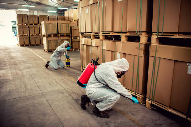Professional Pest Control in Hickory Hills, IL