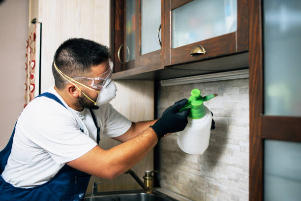 Best Affordable Pest Control Services  in Hickory Hls, IL