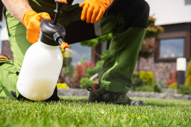 Best Flea Control Services  in Hickory Hls, IL