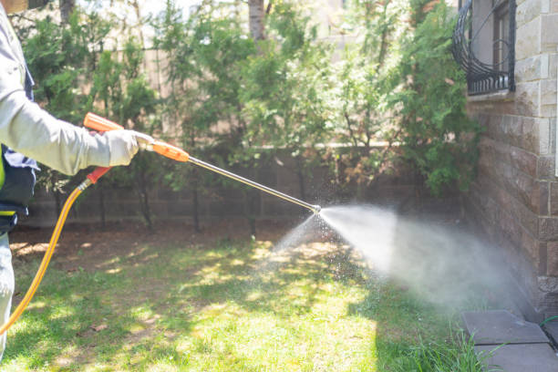 Best Rat Extermination Near Me  in Hickory Hls, IL