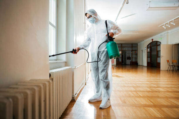 Wasp Removal Services in Hickory Hills, IL