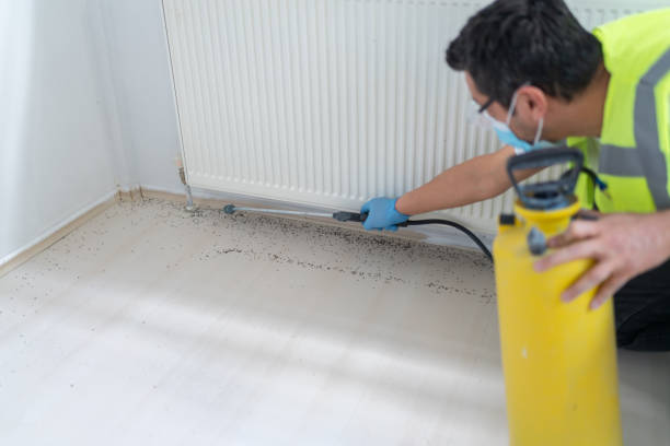 Pest Control for Restaurants in Hickory Hills, IL
